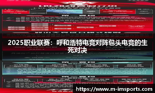 im体育官网