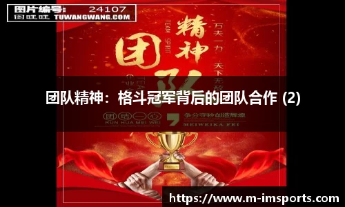 im体育平台