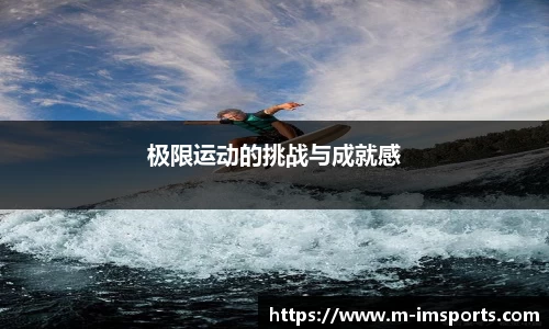 im体育平台